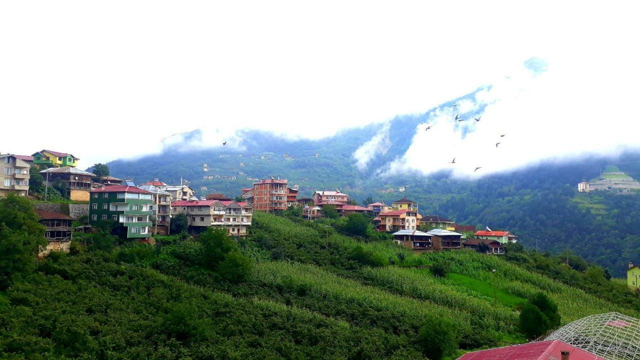 Erdem Apart Otel Trabzon Exteriör bild